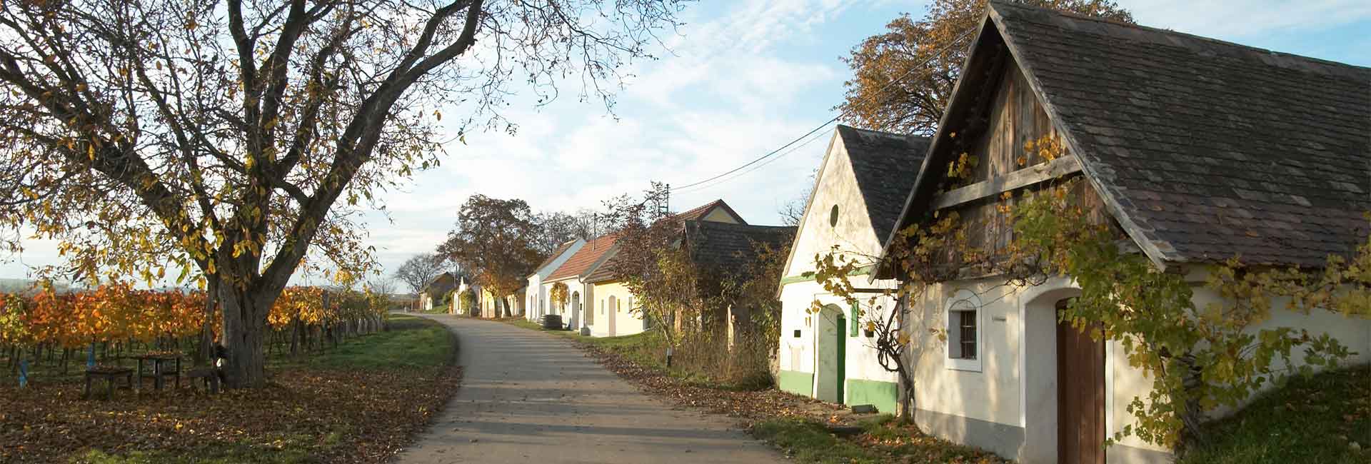 Kellergasse im Weinviertel