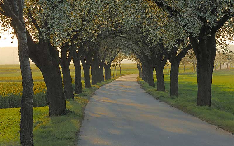 Wandern und Spaziergänge im Schmidatal