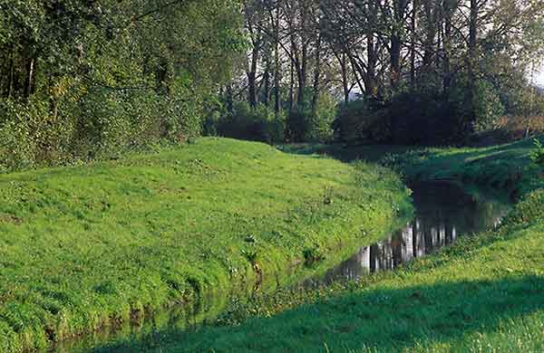 Ausflüge zu intakter Natur im Weinviertel