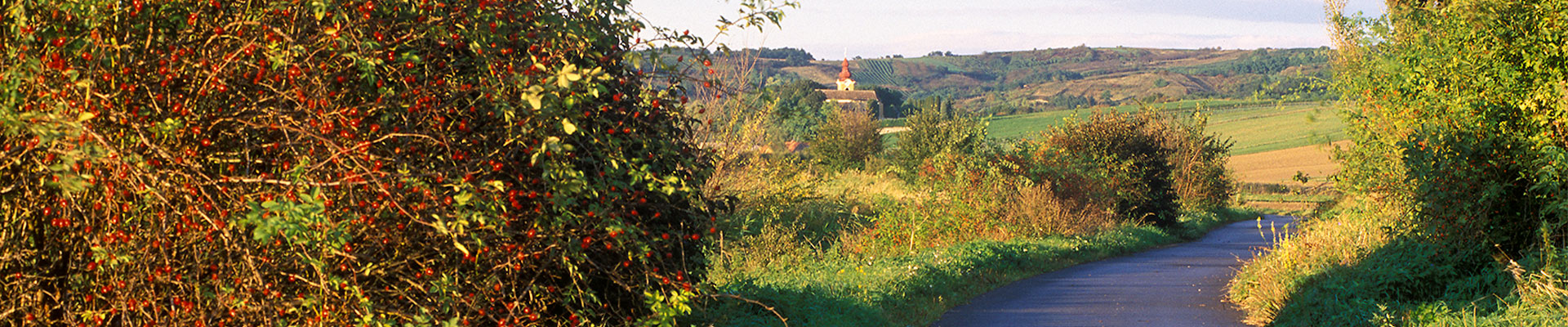 Natur genießen - Ausflug im Schmidatal