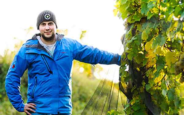 Weingut Obenaus - Wein aus dem Schmidatal