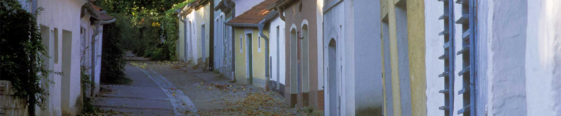 Kellergasse und Presshäuser im Schmidatal