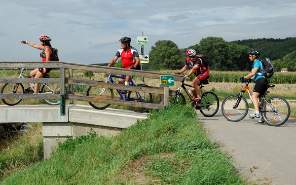 E-Bike und Radweg der Rivaner