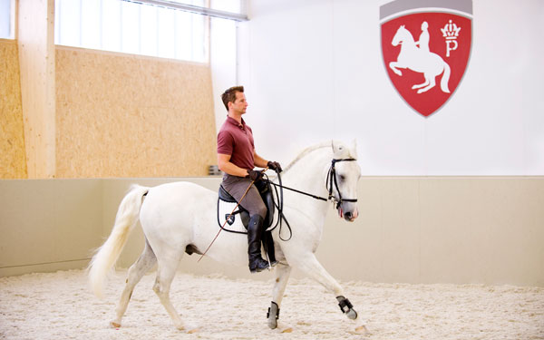 Lipizzaner - Spanische Hofreitschule am Heldenberg