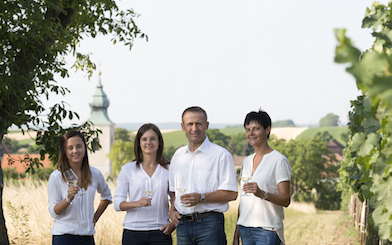 Familie Hummel - Weinbau und Wein im Schmidatal