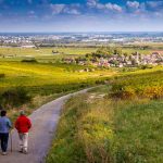 Großgemeinde Rundwanderweg Ziersdorf