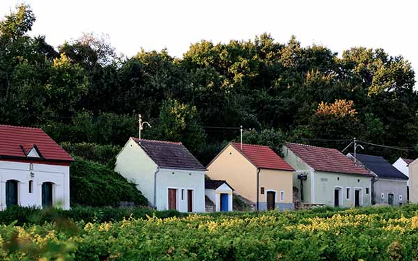 Malerische Kellergassen im Weinviertler Schmidatal