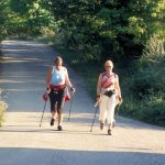 Nordic-Walking-Tour in Ziersdorf