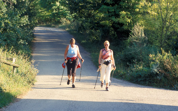 Nordic-Walking-Tour in Ziersdorf