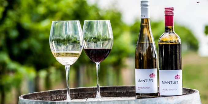 Weingut Mantler im Schmidatal