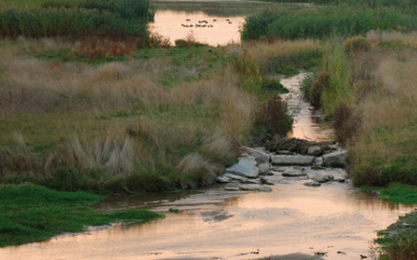 Naherholungsgebiet Roseldorf