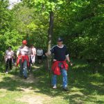 LebensKraftWeg – Nordic-Walking-Ziersdorf-schmidatal-Niederösterreich