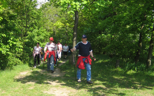 LebensKraftWeg – Nordic-Walking-Ziersdorf-schmidatal-Niederösterreich