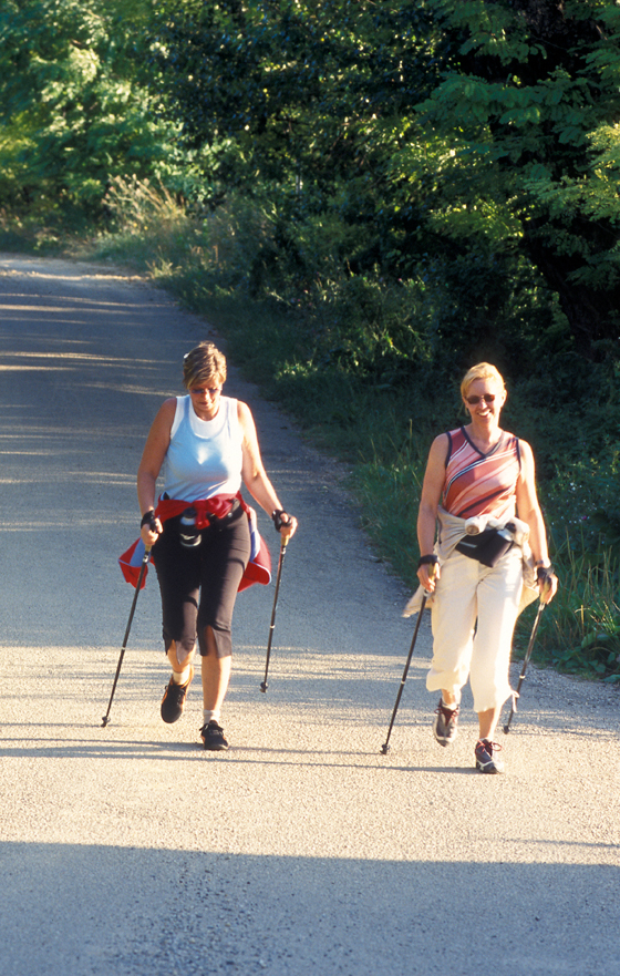 Radetzkymarsch - Wandern - schmidatal - Niederösterreich - Wiese - Wald - Asphalt - Geschichte - Weinkeller - Heurige