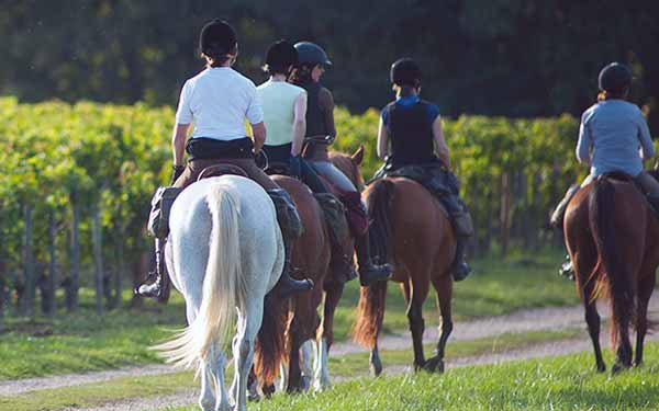 Reiten im Landschaftspark