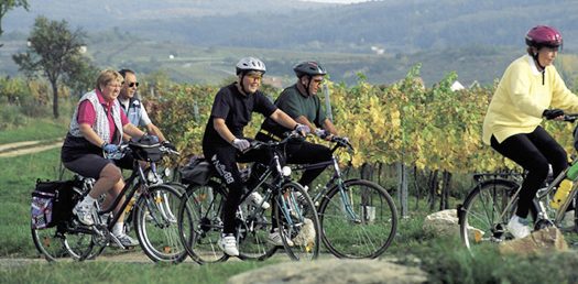 Radweg der Riesling im Schmidatal