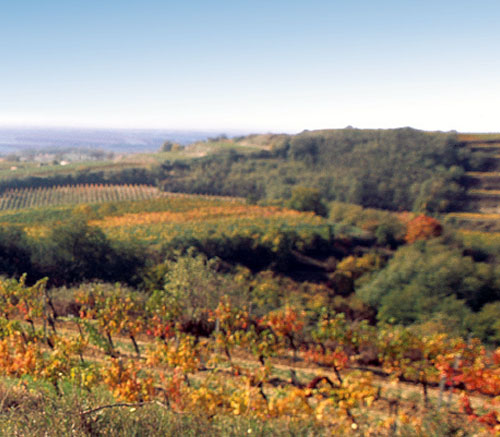 Rundwanderweg und Laufstrecke in Ravelsbach