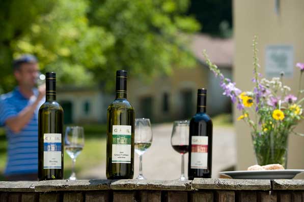Winzerhof & Gästehaus Familie Greil - Wein im Schmidatal Winzerhof & Gästehaus Familie Greil - Wein im Schmidatal