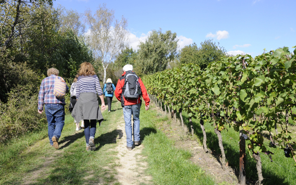 Weinwanderweg Wetzdorf - Wandern und aktiv im Schmidatal