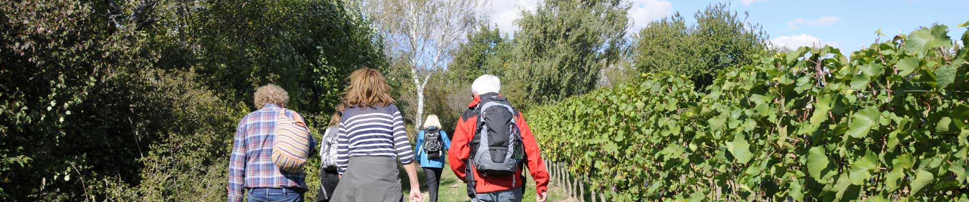 Weinwanderweg Wetzdorf - Wandern im Schmidatal