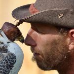 Aigners Falkenhof - Greifvogelpark - Vögel - Natur - Schmidatal - Manhartsberg - Niederösterreich