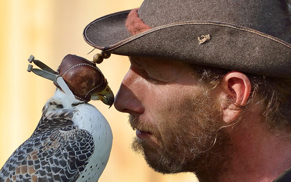 Aigners Falkenhof - Greifvogelpark - Vögel - Natur - Schmidatal - Manhartsberg - Niederösterreich