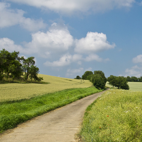 Wandern im Schmidatal - Weinviertel