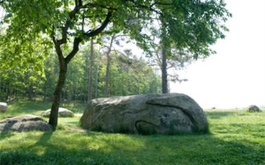 Steinkreis "Alte Kuh" am Libellenteich - Maissau - Schmidatal Manhartsberg in Niederösterreich